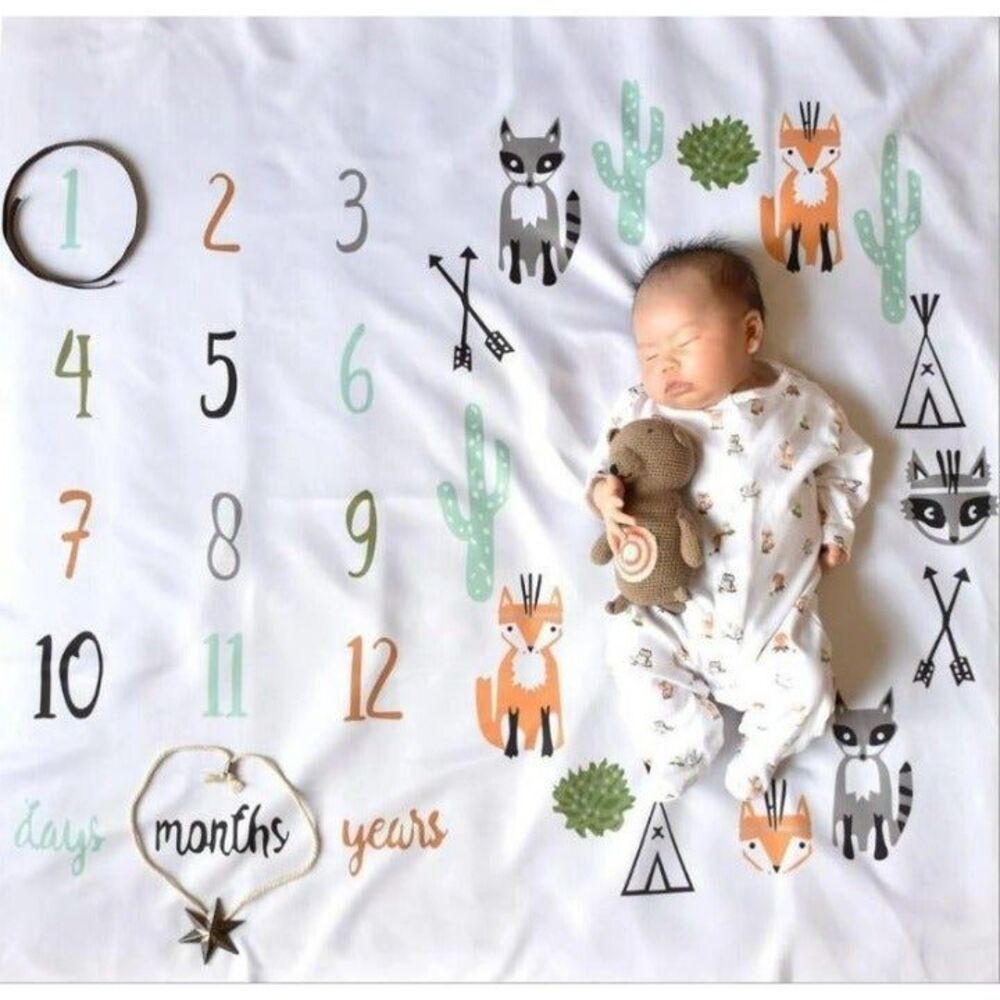 New woods racoon fox baby journey photo blanket